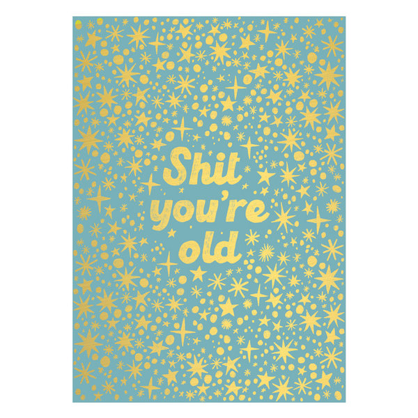 Shit you're old Postcard